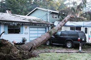 Assessing Storm Damage | Storm Damage Assessment