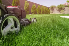 A & J Landscaping logo