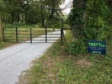 TrottCo logo