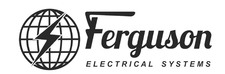 Avatar for Ferguson Electrical Systems