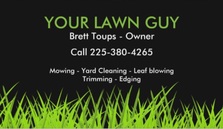 Logo for Your Lawn Guy