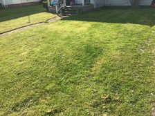 Avatar for C and J Landscaping