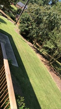 Avatar for Ideal Landscaping