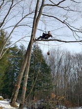 Avatar for A&M Quality Tree Service