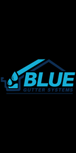 Logo for Blue Gutter Systems