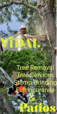 Avatar for Vidal Tree Services