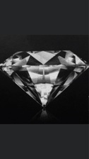 Avatar for PROFESSIONAL BLACK DIAMOND LLC