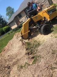 Pinter Stump Grinding logo