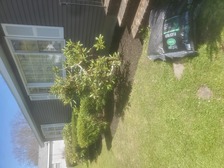 Avatar for DIAL Does It All Landscaping - Inicio Facebook