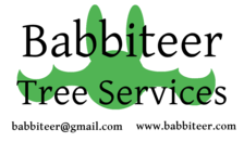 Logo for Babbiteer Tree Services