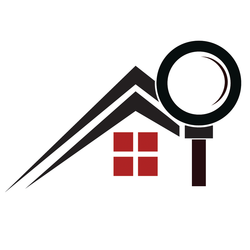 No Limits Home Inspections LLC logo
