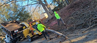 LandscapeX Lawn & Tree Removal Service logo