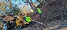 Avatar for LandscapeX Lawn & Tree Removal Service