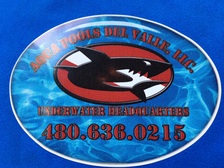 Avatar for Aqua Pools Del Valle, LLC