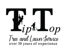 Avatar for Tip Top Lawn And Tree Service
