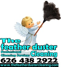 Logo for The Feather Duster Cleaning