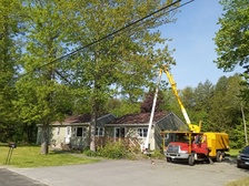 Logo for A TreePro - 41 Photos - Home Improvement - 8 Western Ave, Lisbon, ME 04250