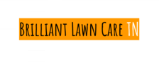 Avatar for Brilliant Lawn Care Dover TN - Home Facebook