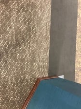 Avatar for Special Carpet Design