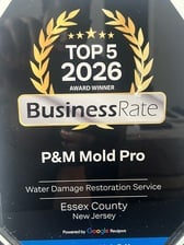 Logo for P&M Mold Pro, LLC