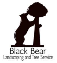 Avatar for Marion Landscapes & Tree Service