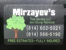Avatar for Mirzayev's Tree Service, LLC
