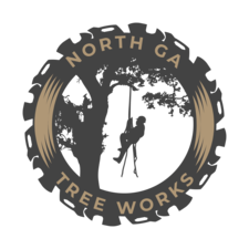 Logo for North GA Tree Works