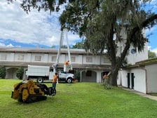 Avatar for Drinkwater Tree Service