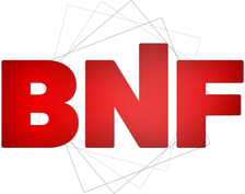 BNF Pros, LLC logo