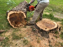 Crow Lawn Care logo