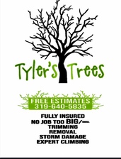 Tyler's Trees logo