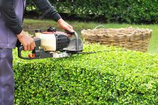Avatar for Portillo H Landscaping