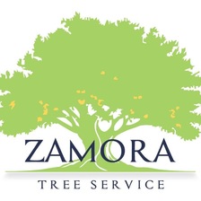 Logo for Zamora Tree Service