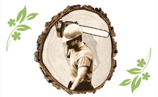 Avatar for Sharper Image Tree Service