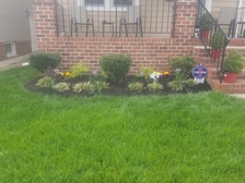 Dream Holloway Lawn Care, LLC logo