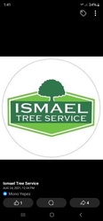 Ismael Tree Service logo