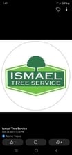 Avatar for Ismael Tree Service
