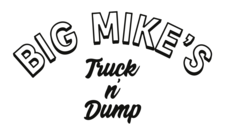 Avatar for Big Mike's Truck n' Dump