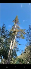 Avatar for R n R tree service - Home  Facebook