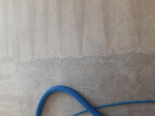 AZ Dirt Buster Carpet Cleaning logo