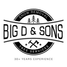 Avatar for Big D and Sons