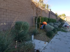 JDJ Landscape Maintenance Services logo