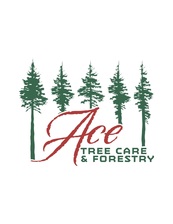 Logo for Ace Tree Care and Forestry