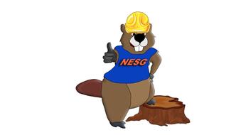 Northeast Stump Grinding, LLC logo