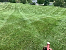 Logo for Lenny Gilbert Lawn Maintenance, LLC