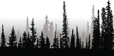 Avatar for Mattson Land Consulting, LLC