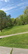 Avatar for Action Lawncare