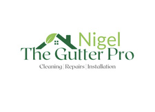 Avatar for Nigel the Gutter Pro