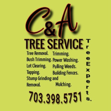 Logo for C & A Tree Service