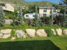 Logo for Chingon Landscaping